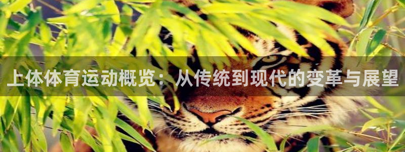 ug环球官网登录入口