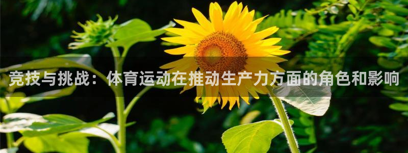 菲律宾ug环球官网