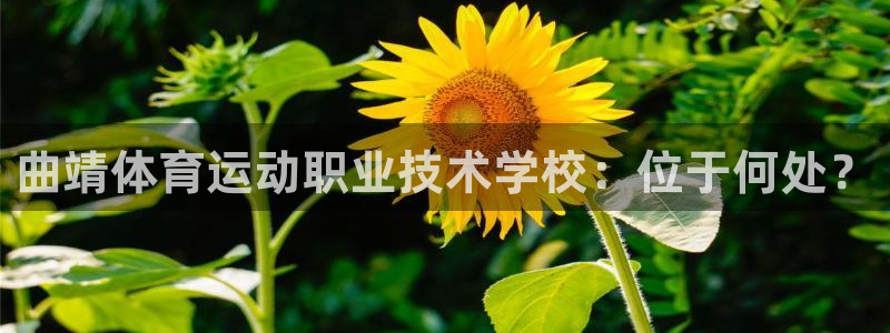 ug环球官网注册