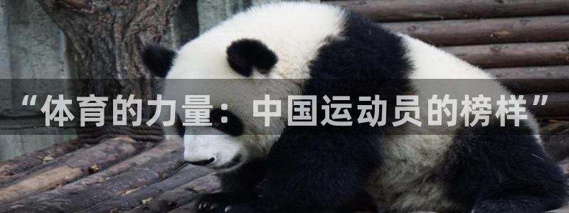 菲律宾ug环球官网