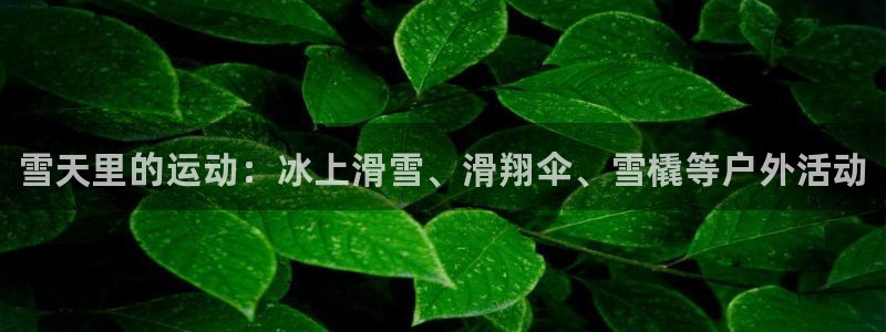 ug环球官网登录入口