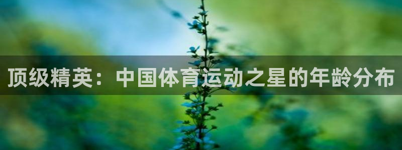 ug环球官网注册