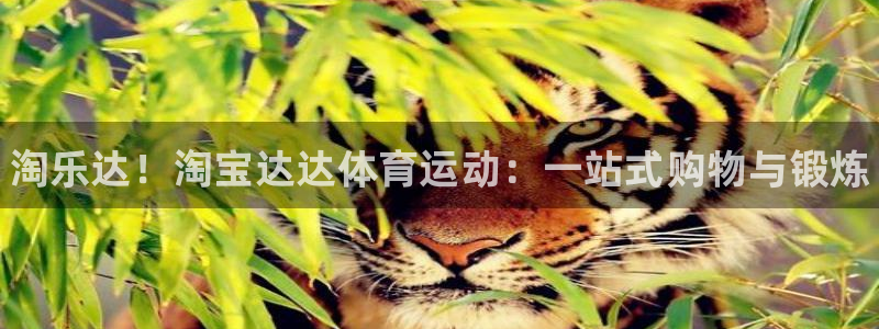 ug环球官网注册