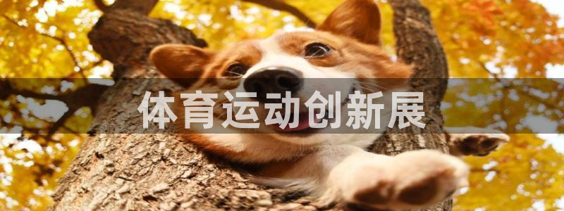 ug环球官网