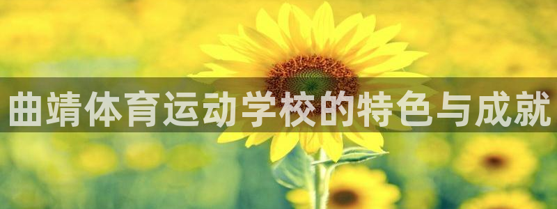 ug环球官网注册