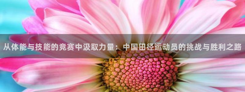 ug环球官网登录入口