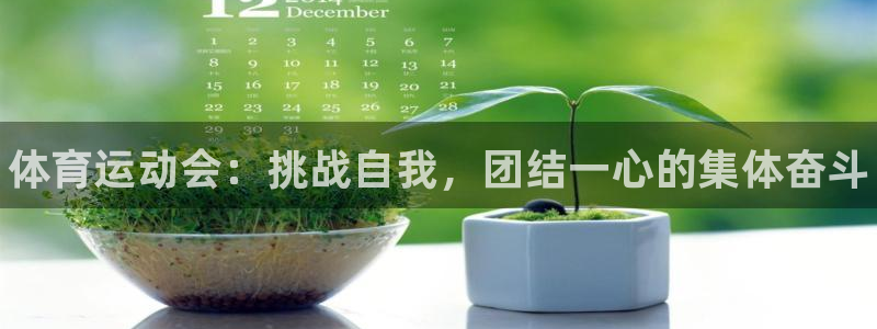 ug环球官网